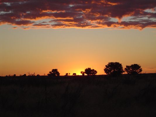 Sonnenuntergang in der Kalahari