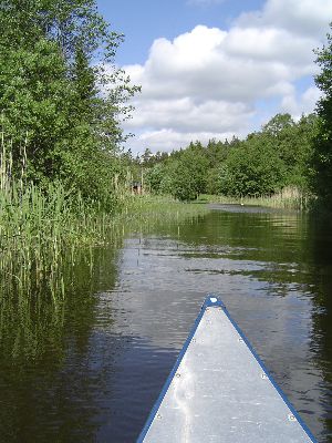 Kanuausflug