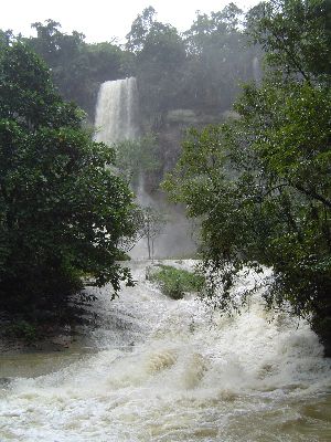 Dschungeltour zum Wasserfall
