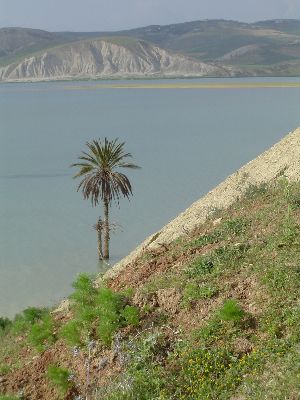 Stausee Barrage Mjaraa