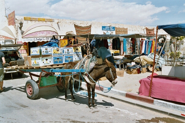 Marktplatz von Douz